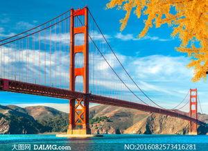 日韩高清视频大桥拍照,大桥之美瞬间